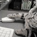 Katze mit PC-Maus