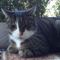 Foto 12.09.15 09 03 17