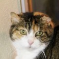 Christa_20150124_1