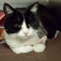 Mimi (Jacky)