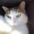 Mascha_20150226_2