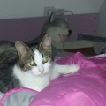 Samira_NoName5