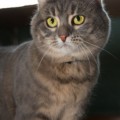 Sheila03_20140111
