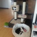 Shila und Stanley 2