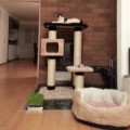 Shila und Stanley 4