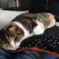 img-20161204-wa0002