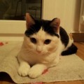 Helga_20150104_1