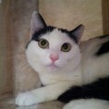 Helga_20150313_2