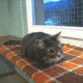 Minousch_20150122_3