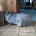Paul_20150214