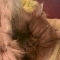 Paul_20150222