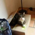 Schilou_20151122_1
