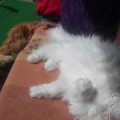 DomiHay5IMG-20160405-WA0009