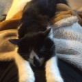 Miro_20160208_3