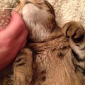 Scratch_20160125_3