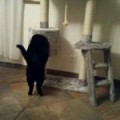 Miezi_20160211_1