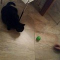 Miezi_20160217_3