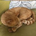 Billy_20160607