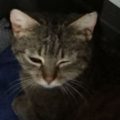 Mimi2IMG-20160501-WA0001