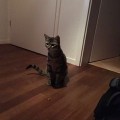 NalaintIMG-20160420-WA0000