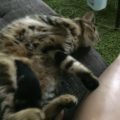 gina_20180814_2