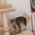 20160729_091939