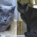 Geronimo und Grace