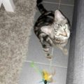 elin_jimmy_20161213_1
