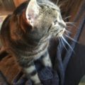 filou_20161223_1