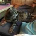 filou_20161223_2
