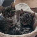 Mo und Mia