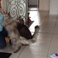 Joya und Sämi