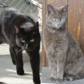 Ginette und Makena