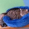 Lola und Kiwi