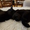 Bodo und Oskar