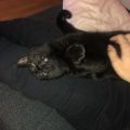 Linus und Maja