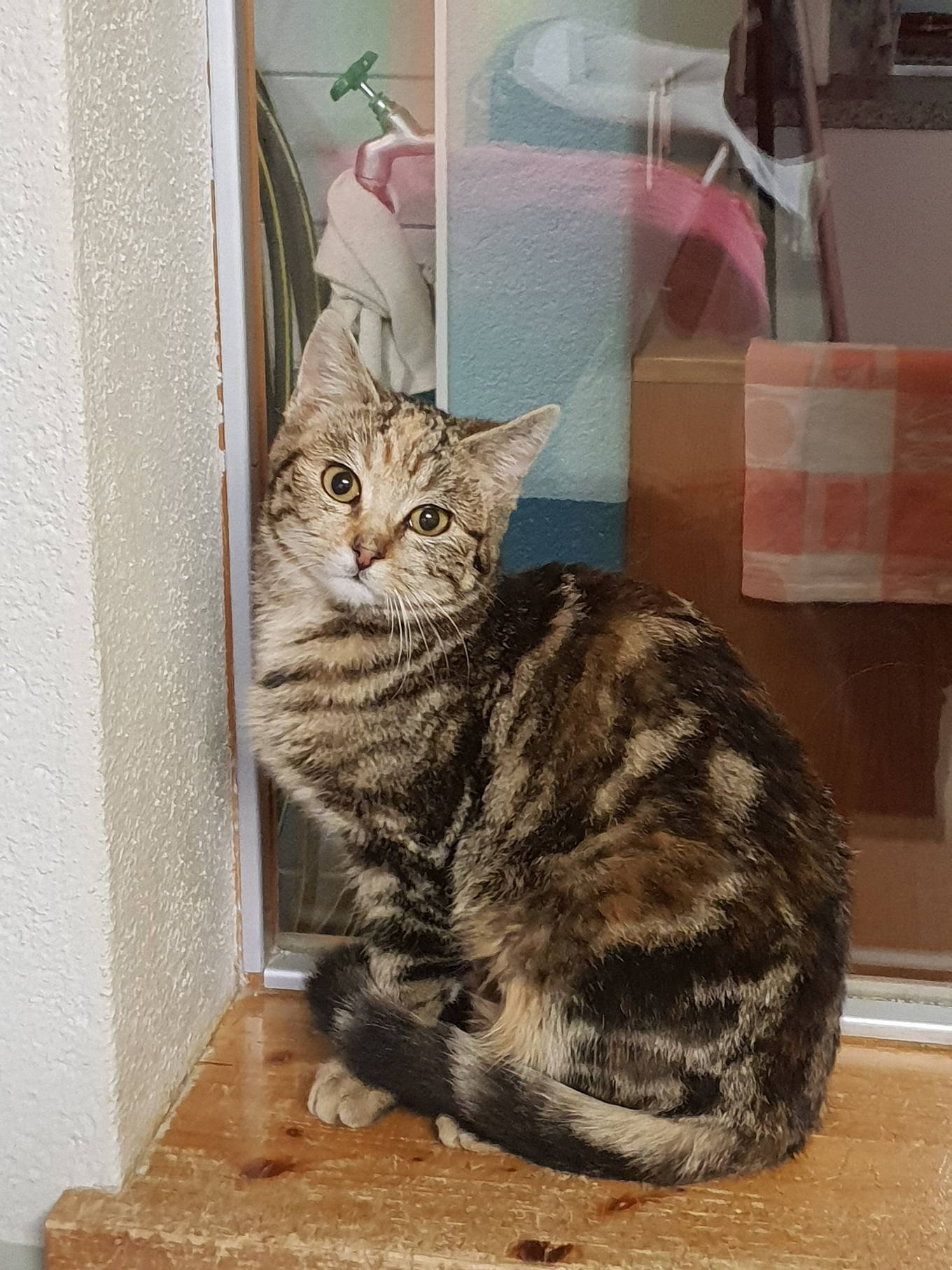 Nikita und Nuno