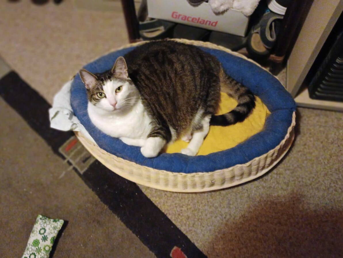 Böni