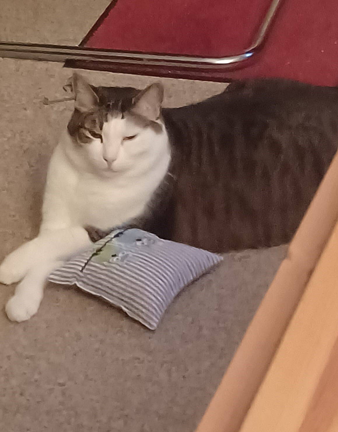 Böni