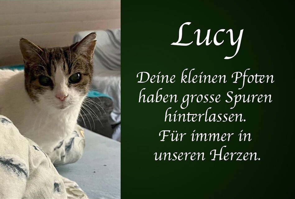 Lucy