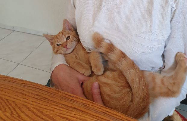 Mucky (Pumuckl)