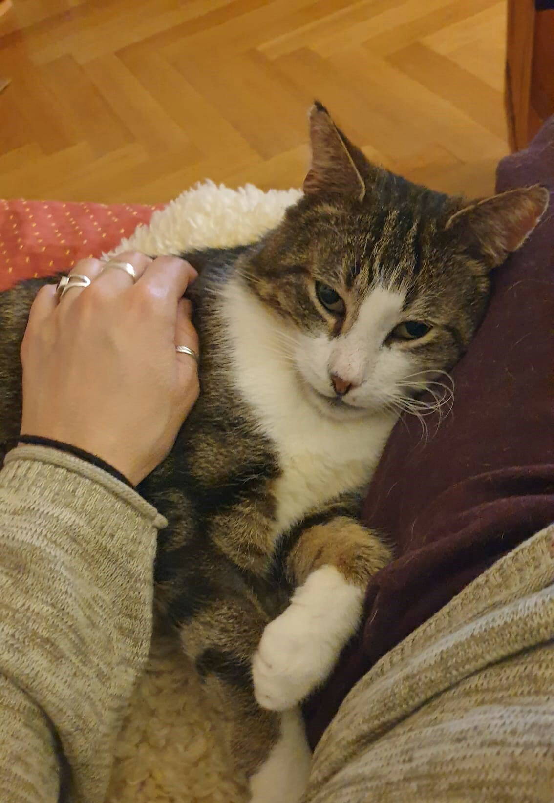 Moritz