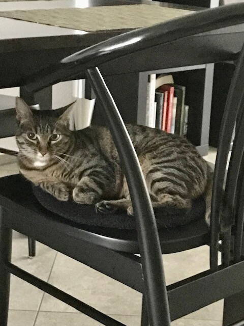 Juna