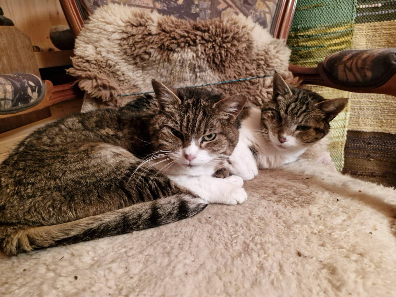 Nayeeli und Shivali