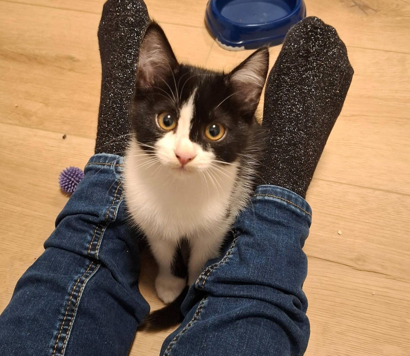 Luna