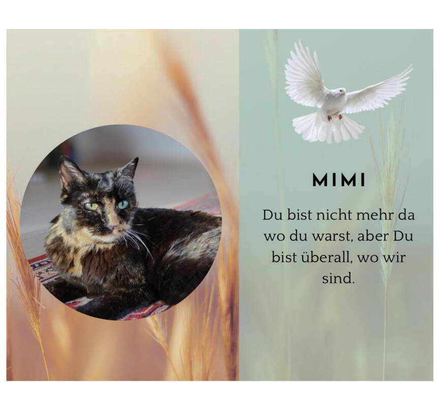 Mimi