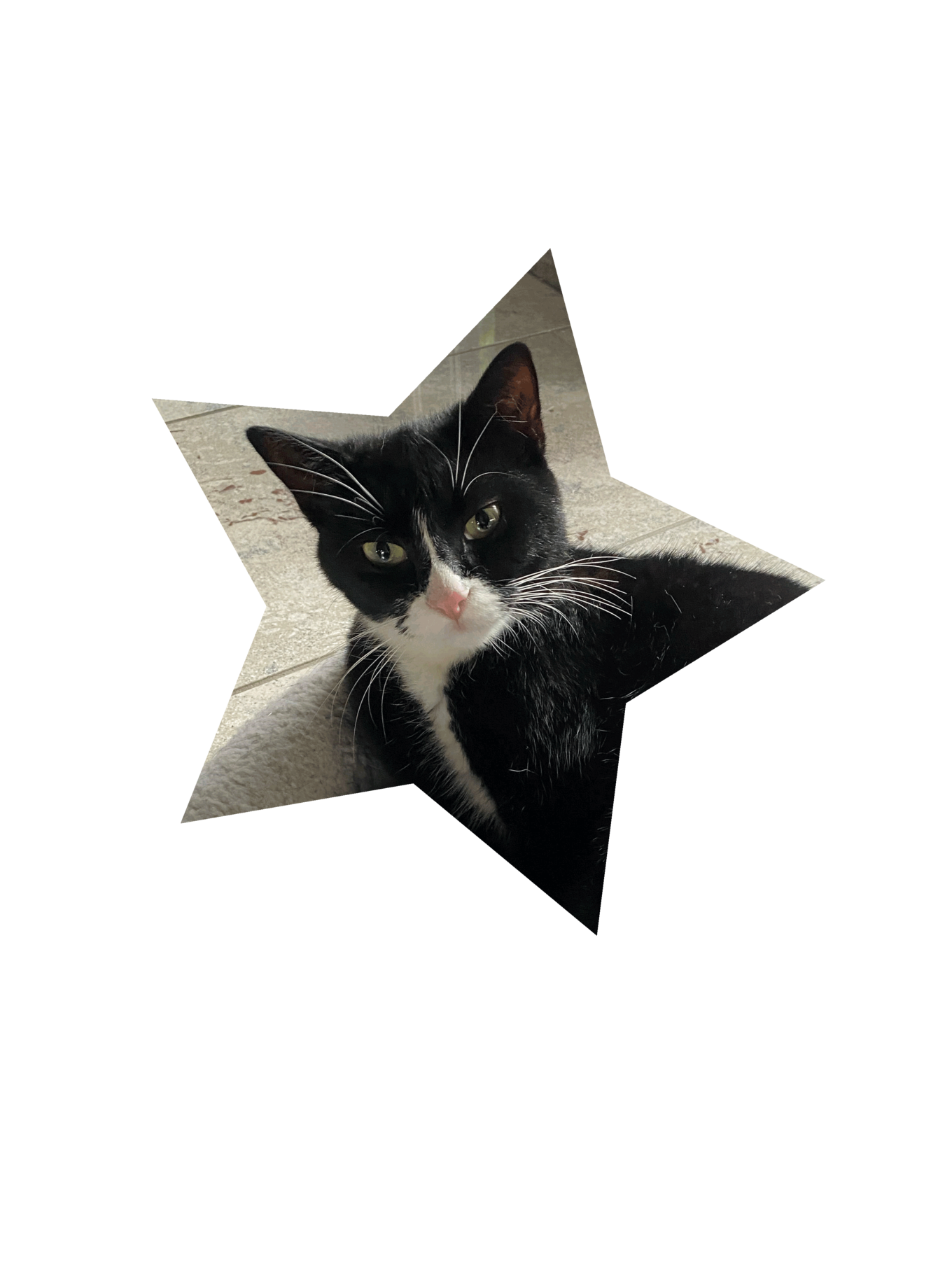Kali