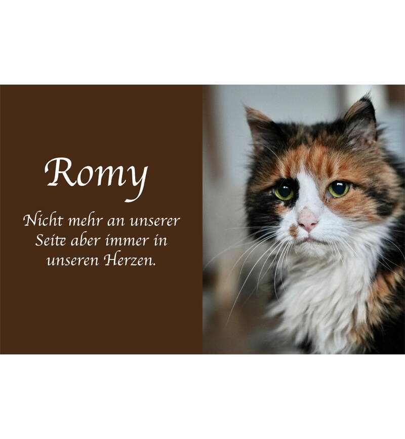 Romy