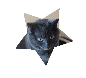 Nila