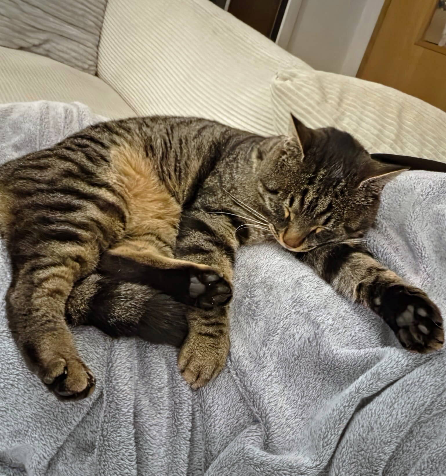 Mäxli